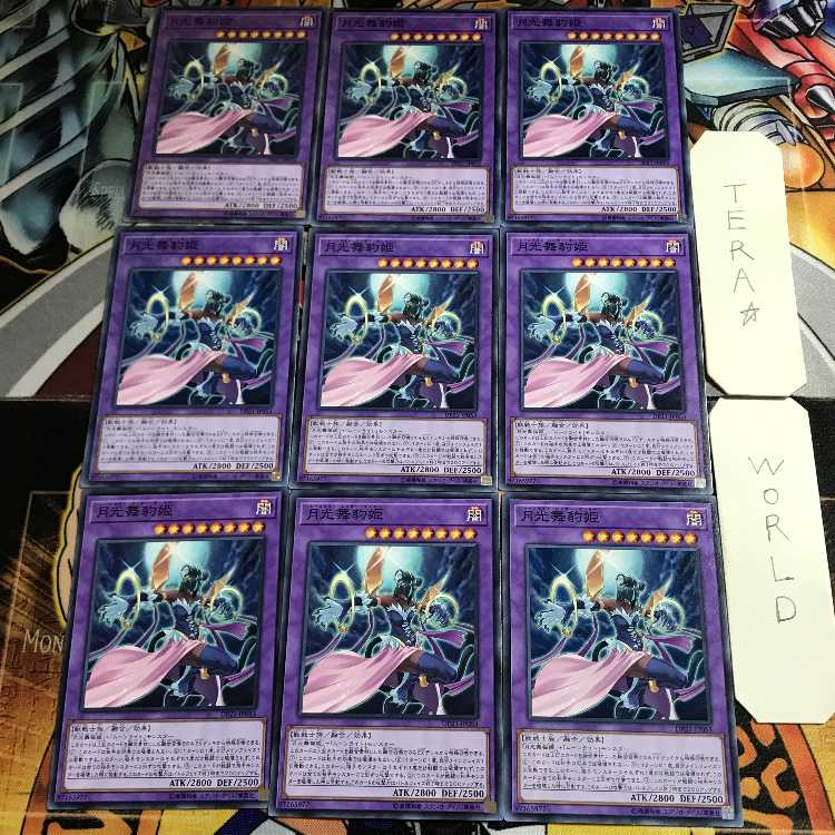 月光舞豹姫 4 ノーマル 9枚セット てら