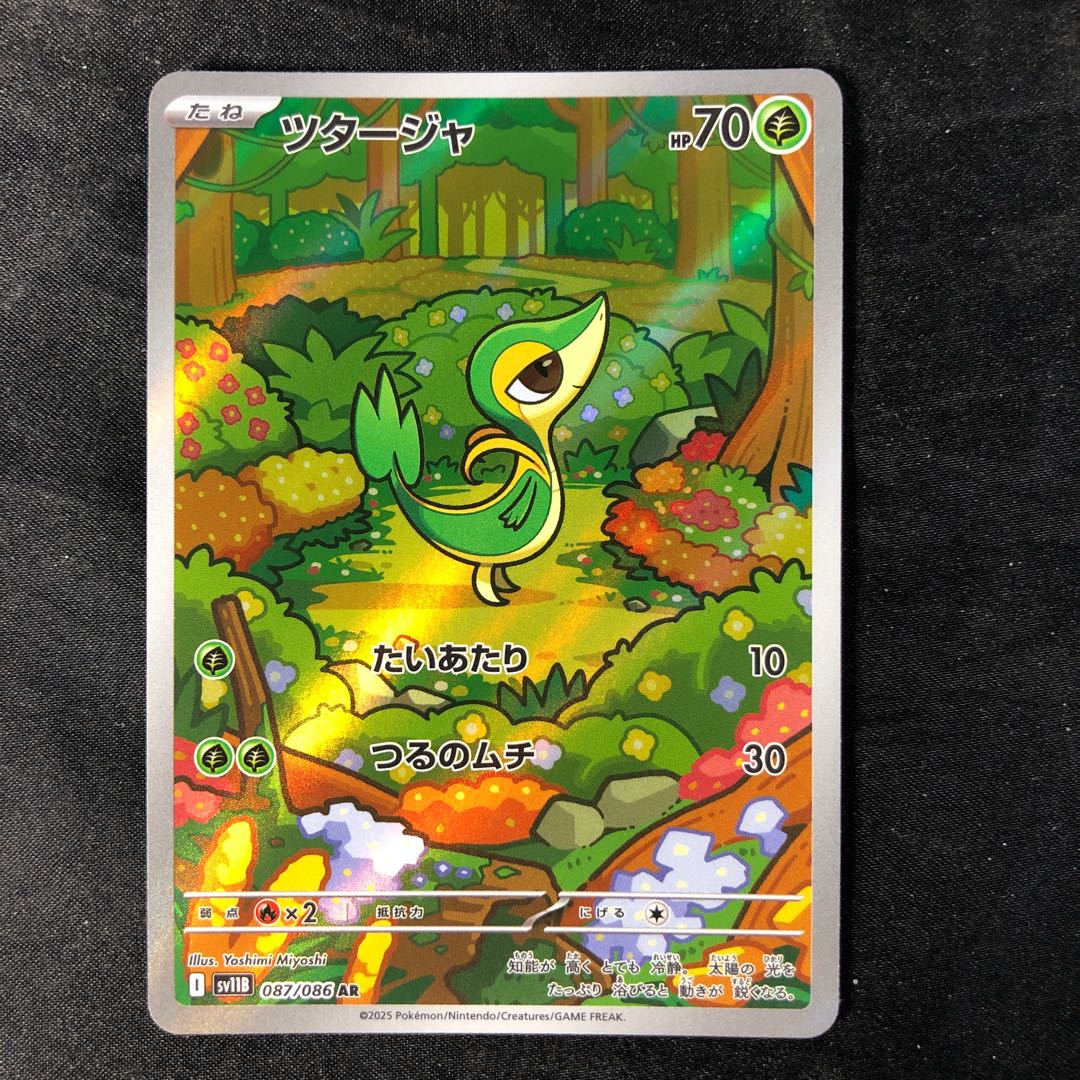 ポケモンカード ツタージャ AR 087/086 10枚セット まとめ売り ポケモンカード ツタージャ AR 087/086 10枚セット まとめ売り