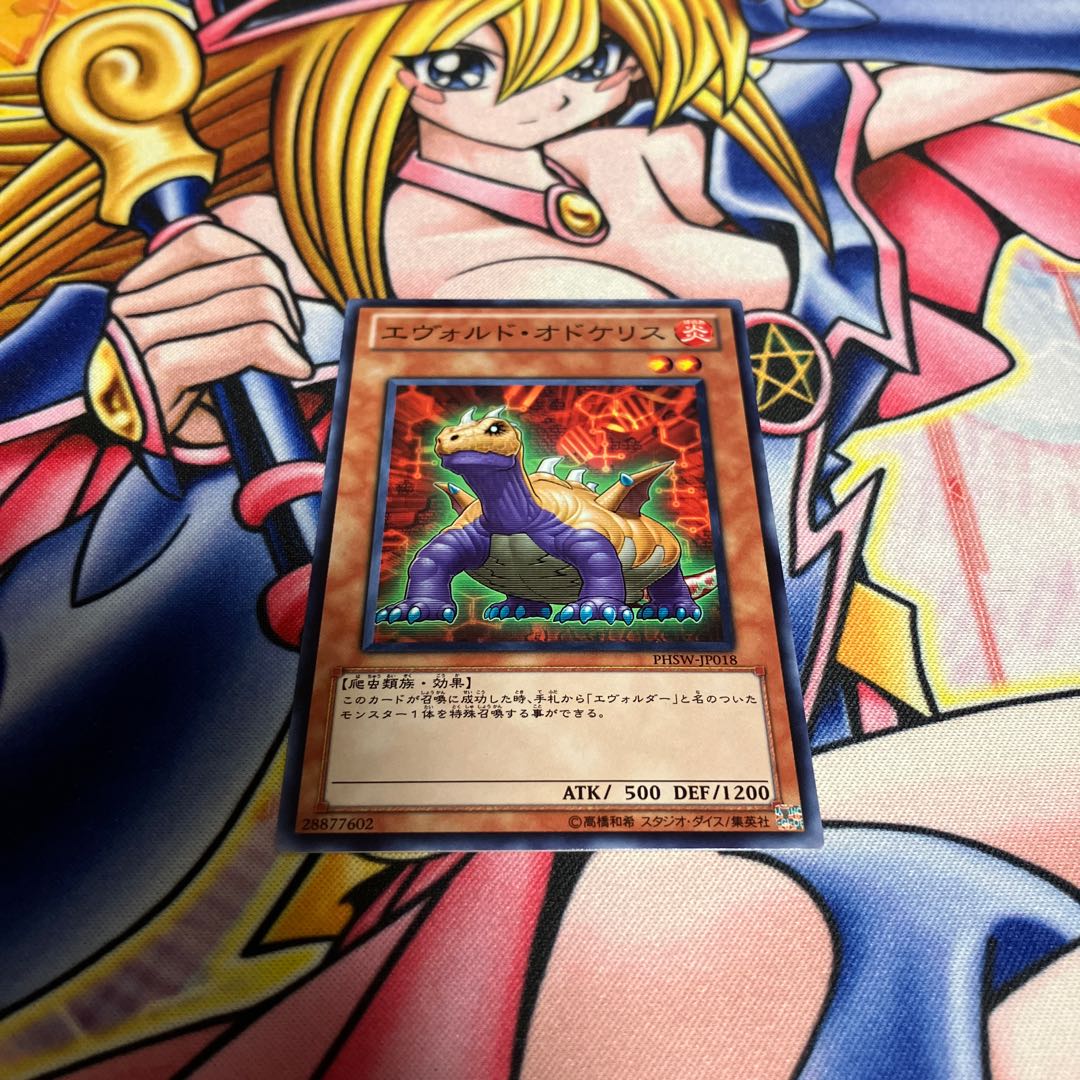 Evoltile Odonto Normal JP018