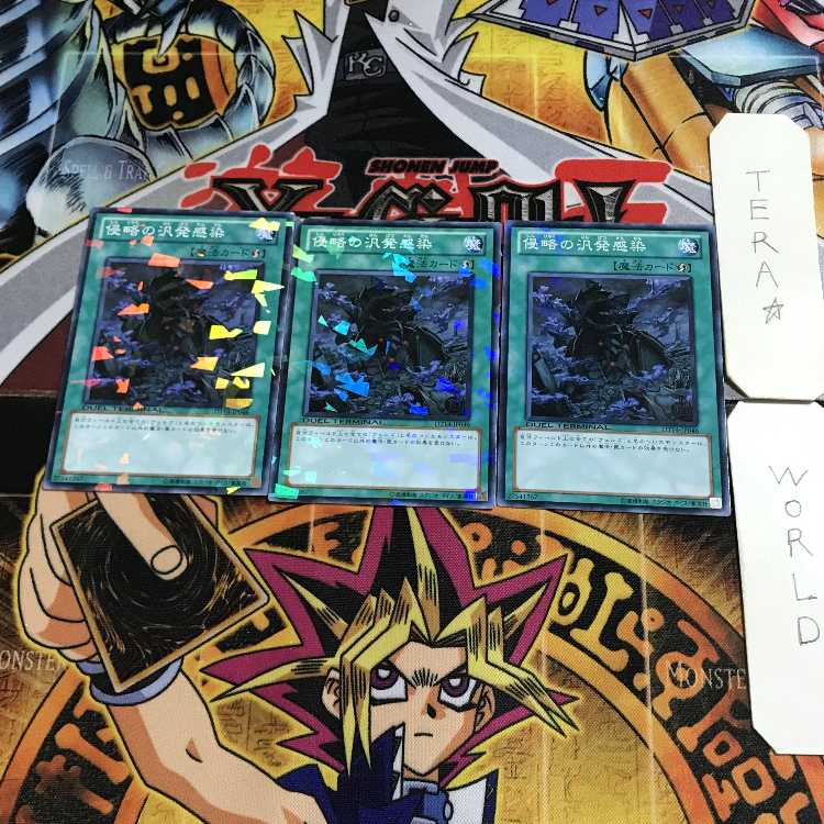 だいち 様 専用 1枚