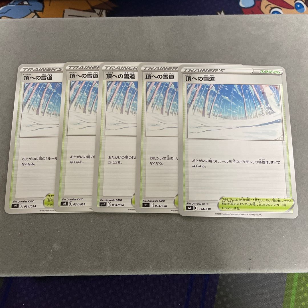 頂への雪道 1枚