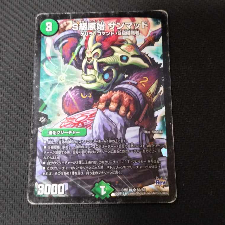 Class S Primitive Sunmad SR S9/S9 1枚