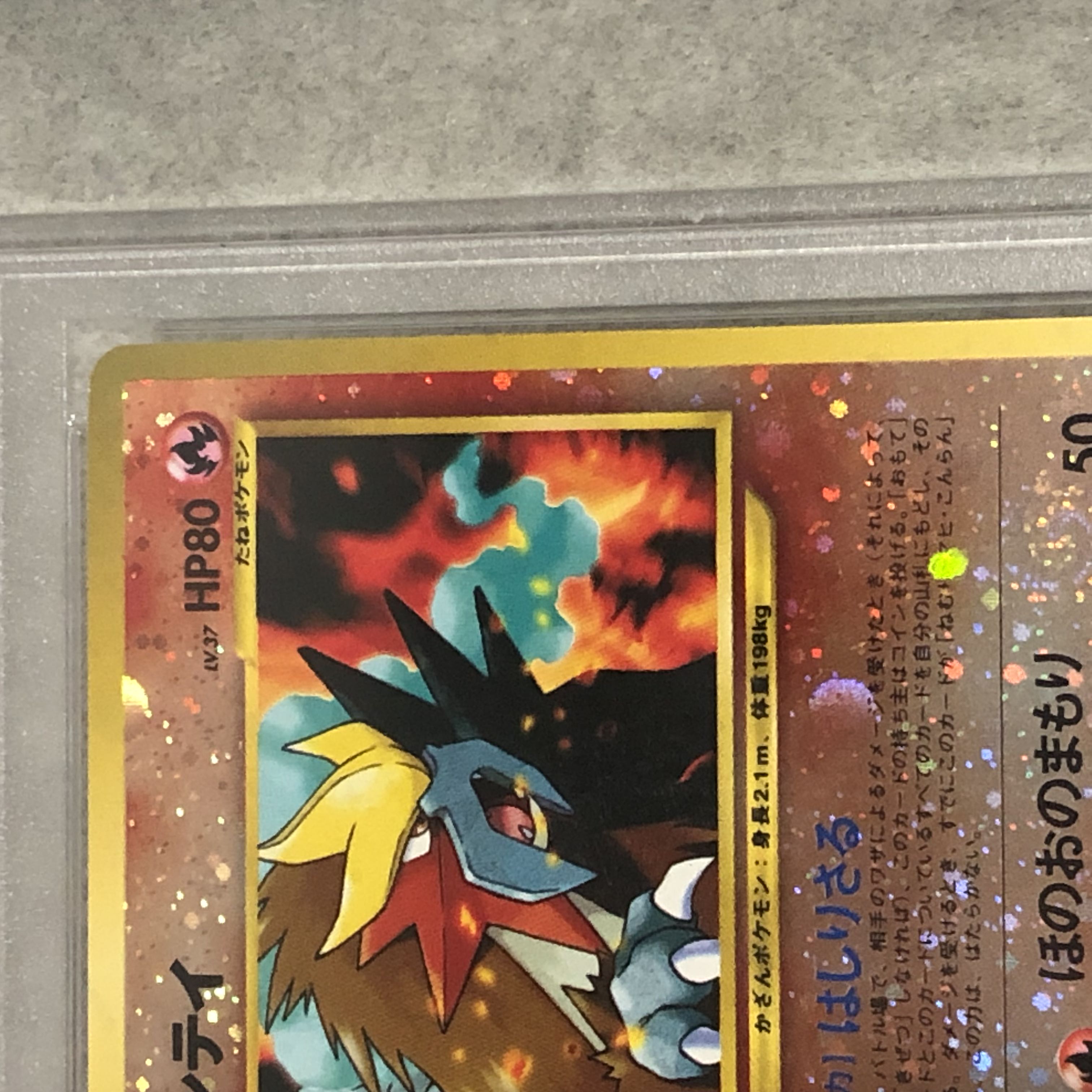 【PSA10】エンテイ プレミアムファイル キラ 旧裏  1枚