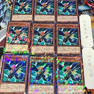 1 Normal Parallel, Effect, Set of 9, Tera. 9枚
