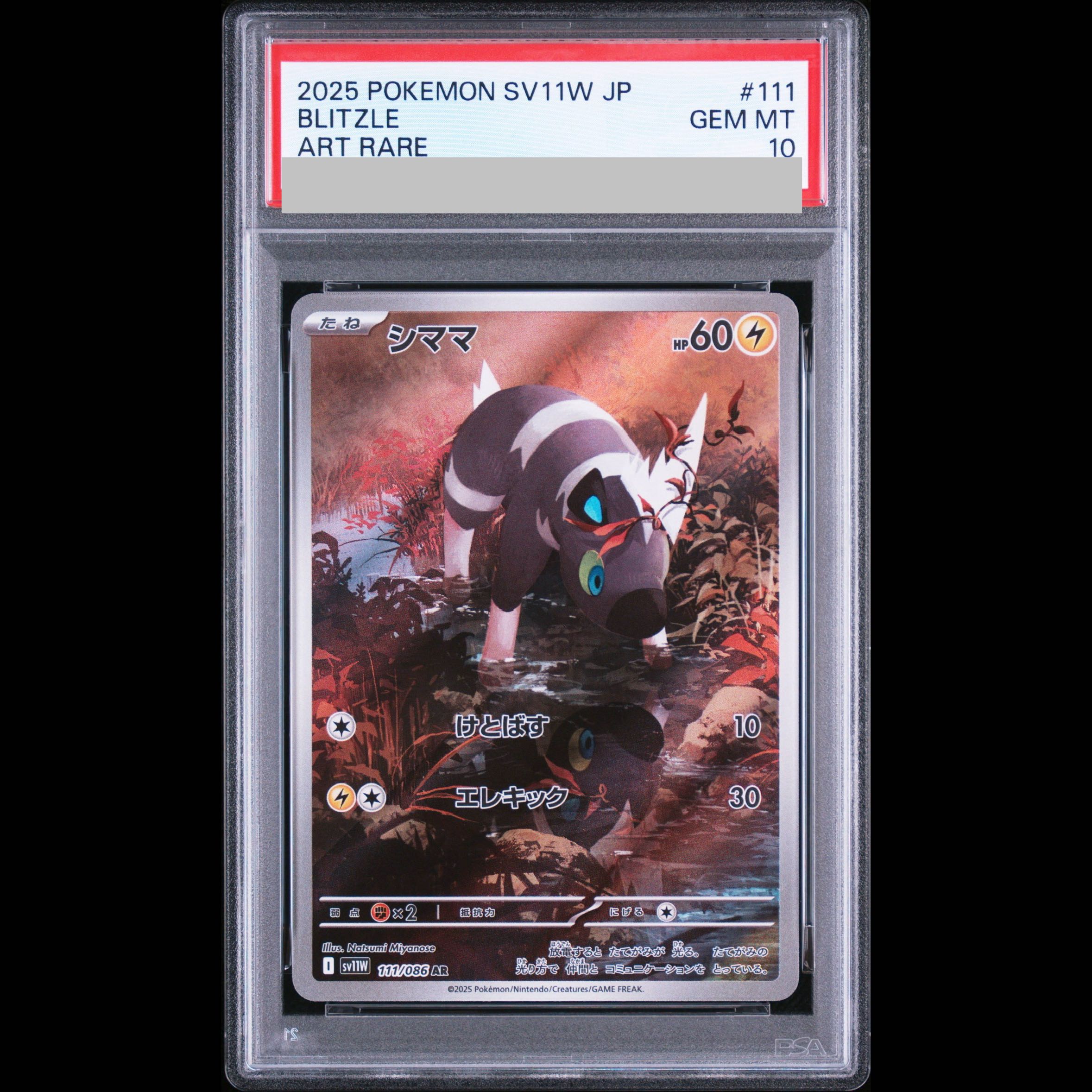 【PSA10】シママ AR 111/086 1枚