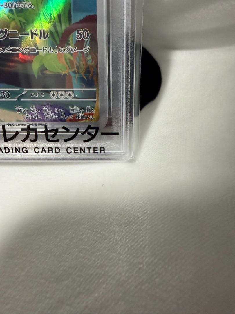【PSA10】ナットレイ AR 072/062 1枚