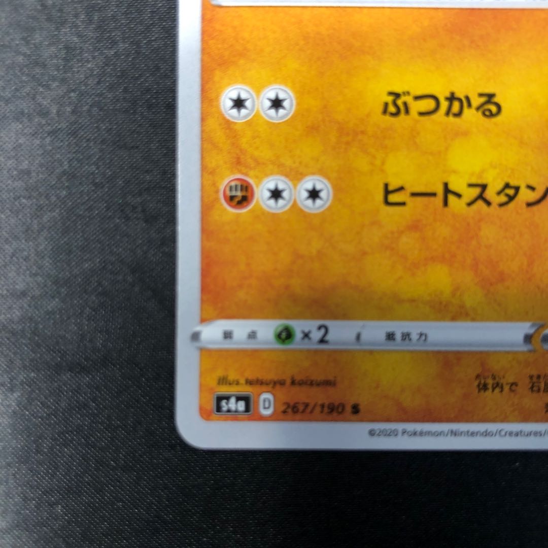 トロッゴン S 267/190 1枚