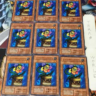 レインボー・フラワー 1 初期 ノーマル 9枚セット てら 9枚