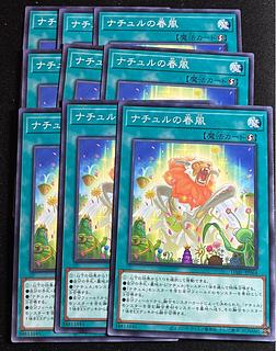 ナチュルの春風 ノーマル JP064 9枚