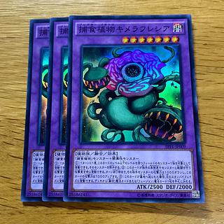 捕食植物キメラフレシア スーパーレア JP009 1枚