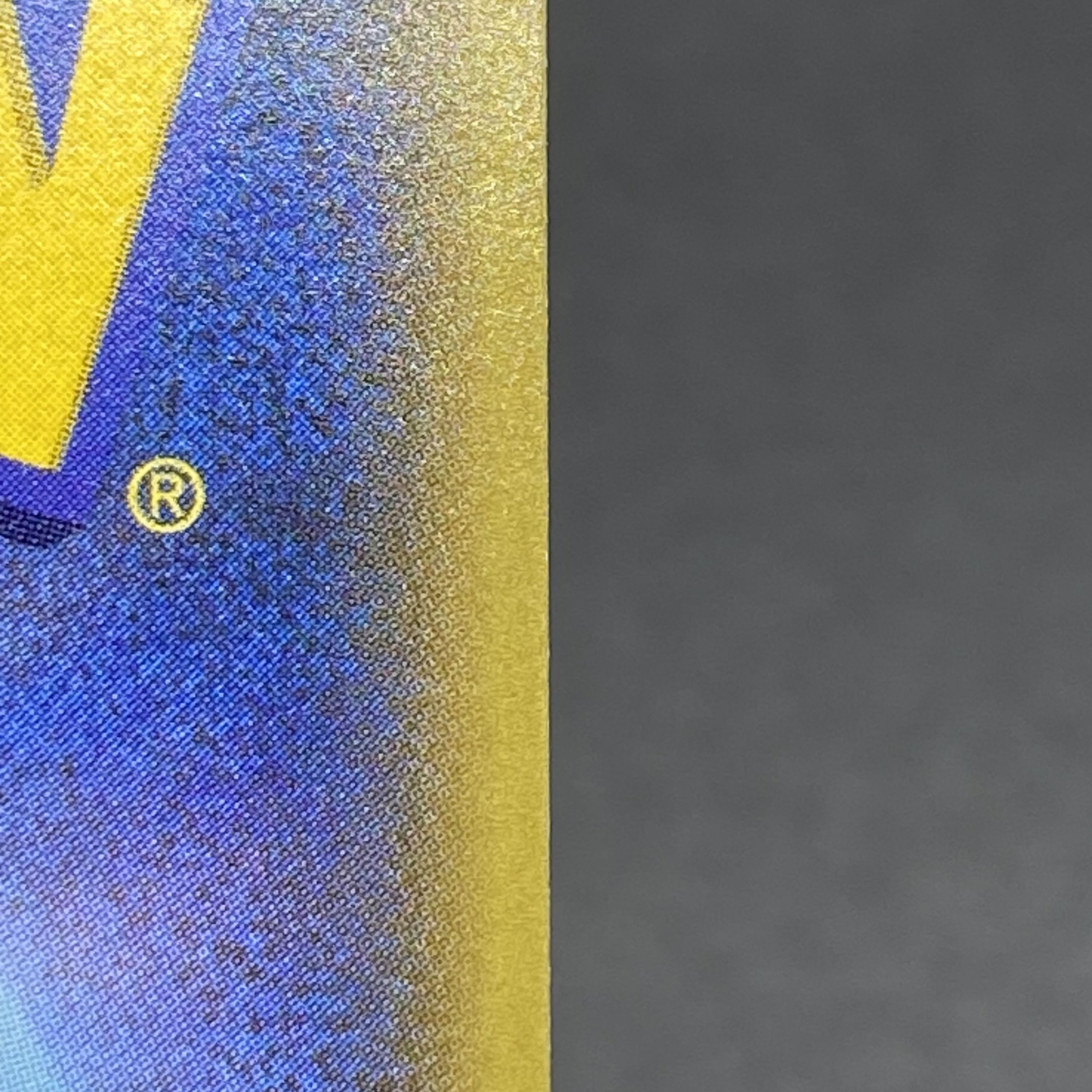 サンダースVMAX(SA仕様)  夏ポケカ PROMO 188/S-P 1枚