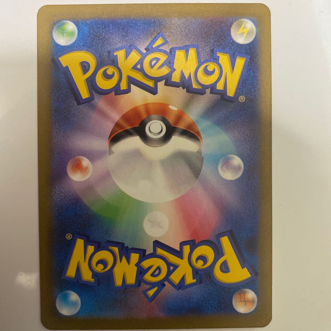 Japanese laurel Aoki SR 081/062