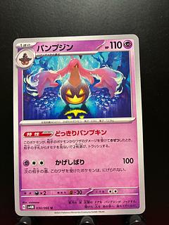 Rakurakudo] Pokeka Gourgeist