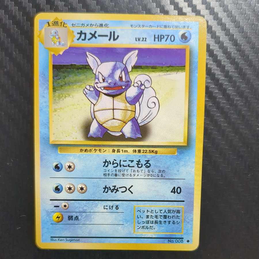 Wartortle old back 1枚
