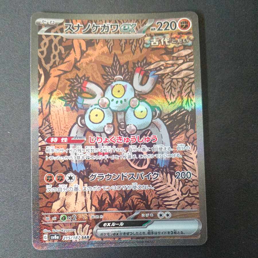 Sunanokegawa ex SAR 215/187