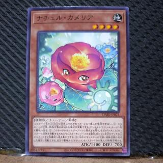 【ぽぽたん】遊戯王  7176  ナチュル・カメリア ノーマル JP021 1枚