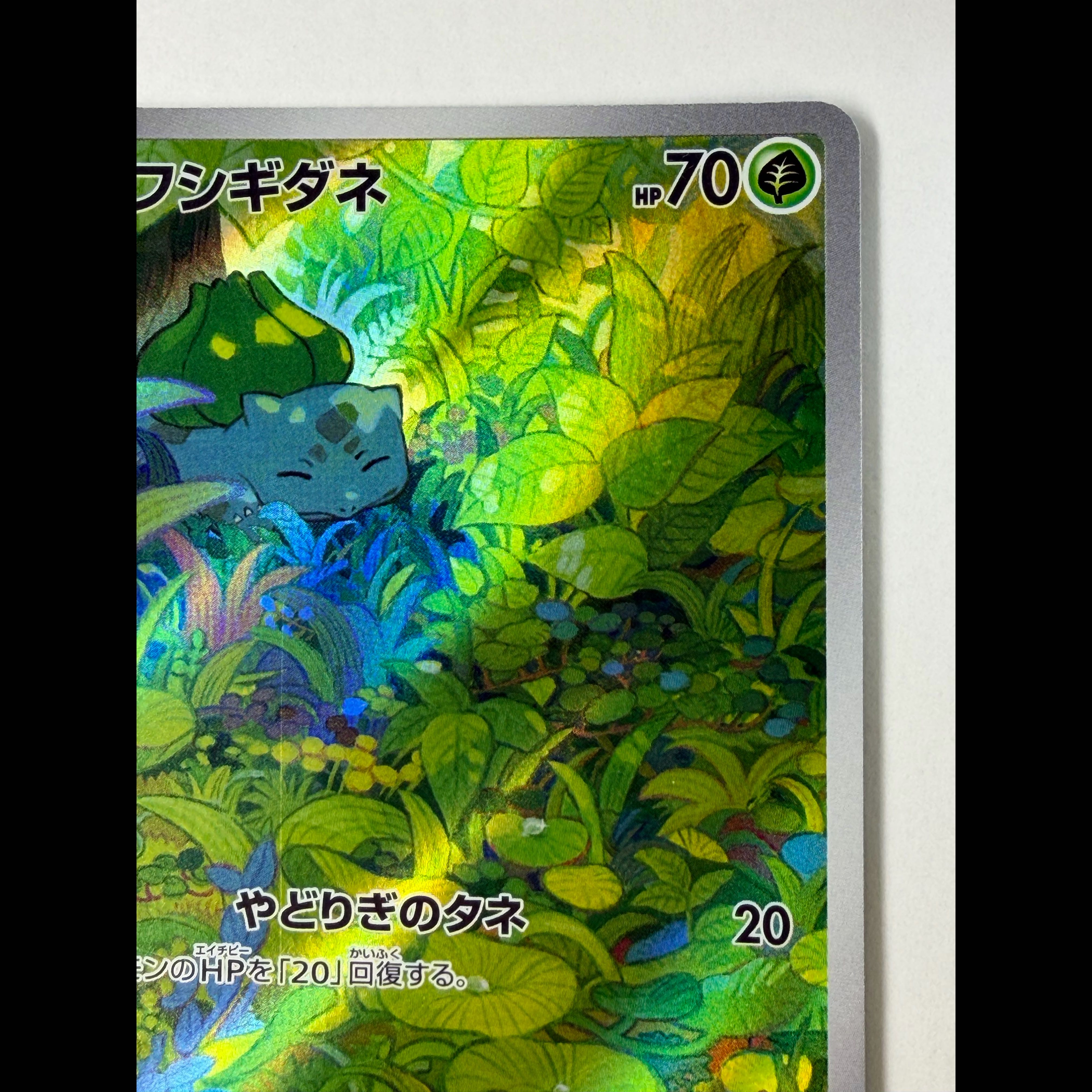 Bulbasaur AR 166/165 1枚