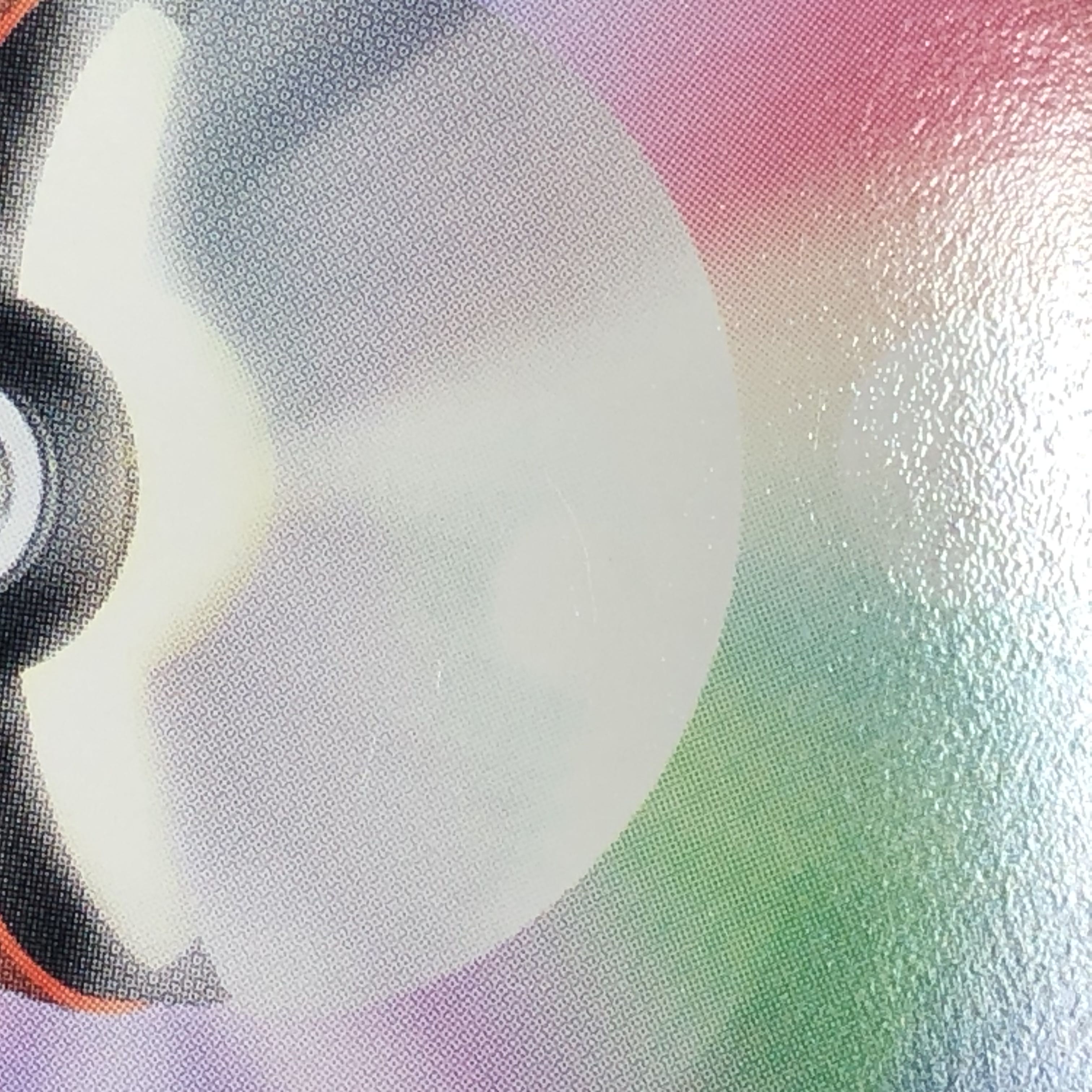 Raikou Color-matched Pokemon Present Campaign PROMO 064/L-P