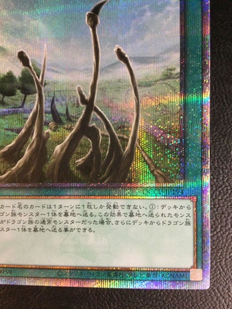 (iii) Dragon Shrine QCSE, 25th Sikh QCCP-JP194