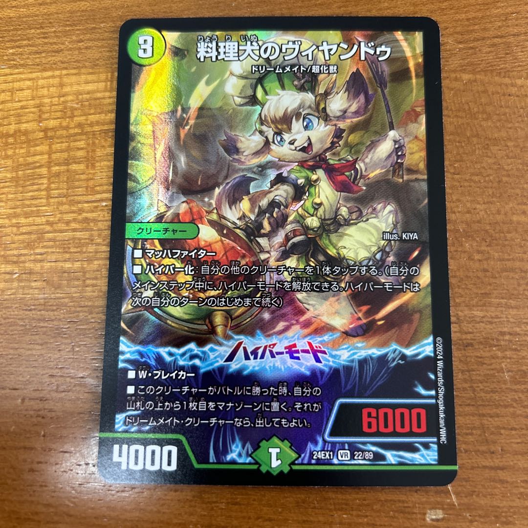 Cooking dog Vyandu VR 22/89