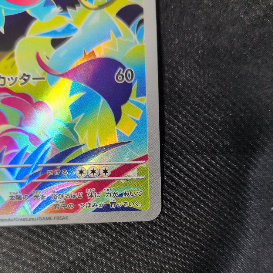 フシギソウ AR 065/063 1枚
