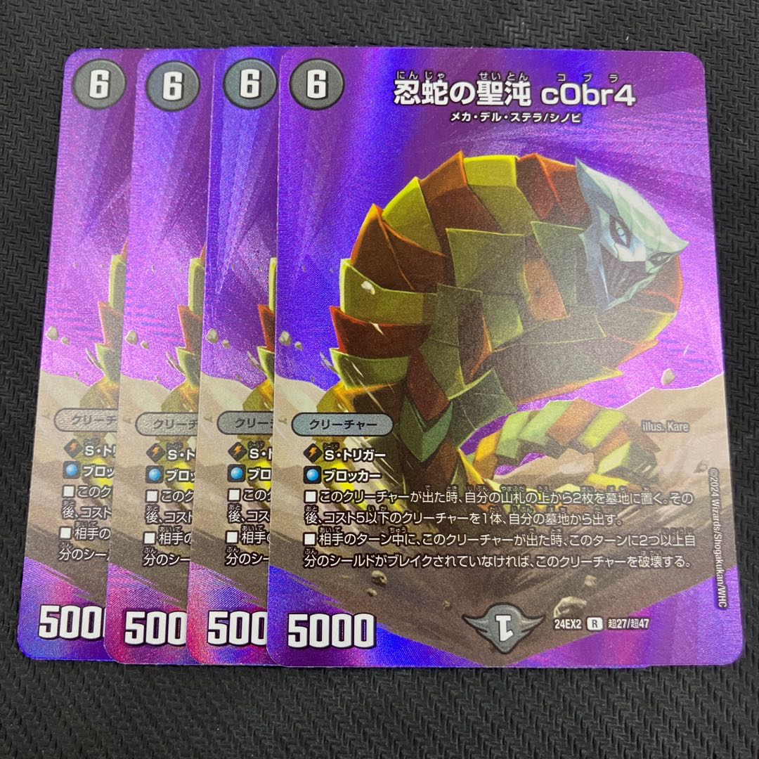 忍蛇の聖沌 c0br4 R 17/74