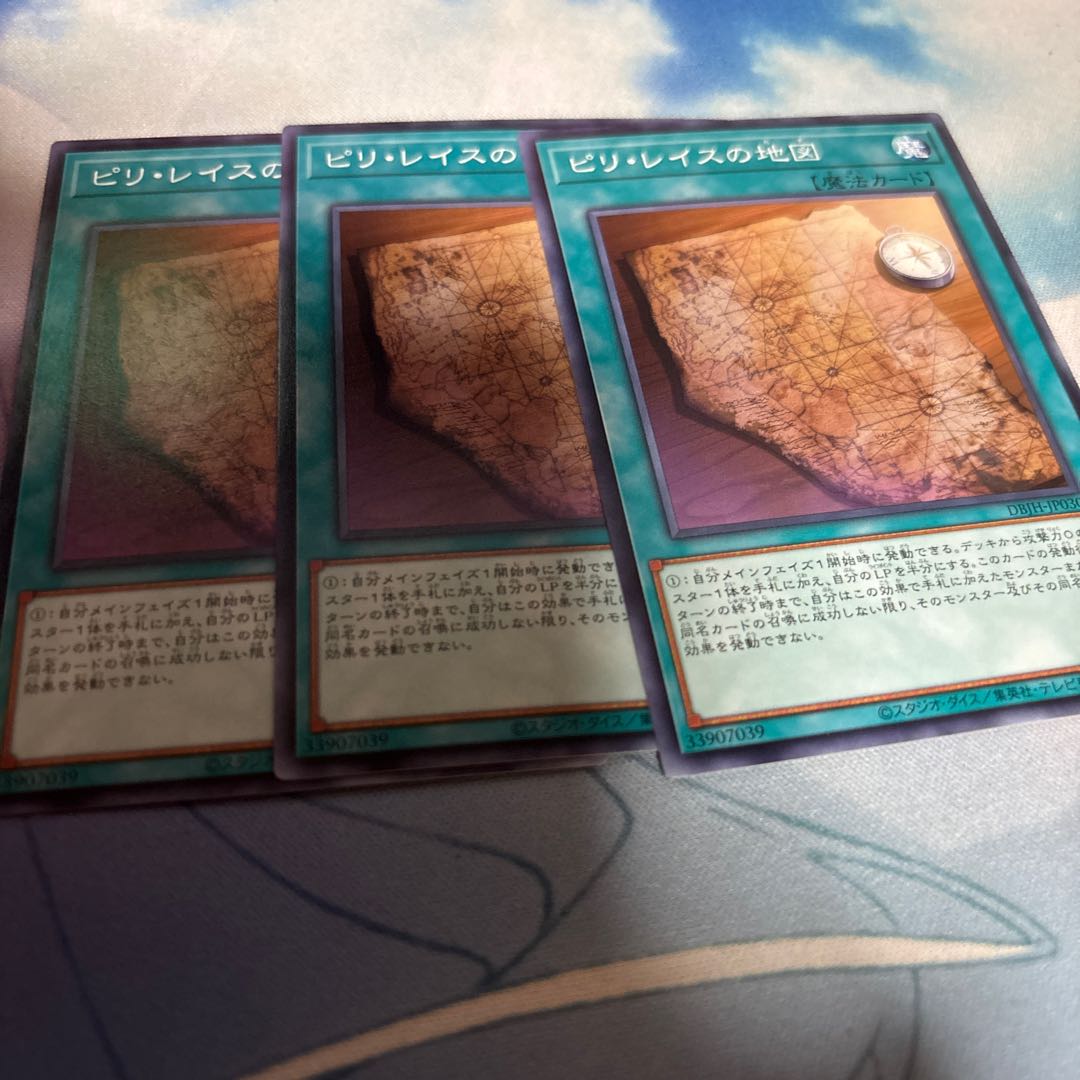 Piri Reis Map normal DBJH-JP030