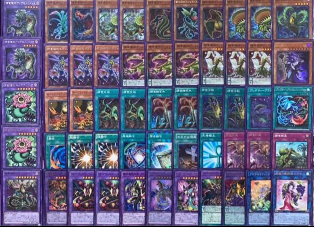 Yu-Gi-Oh Prey Upon Plant Deck Predator Plants