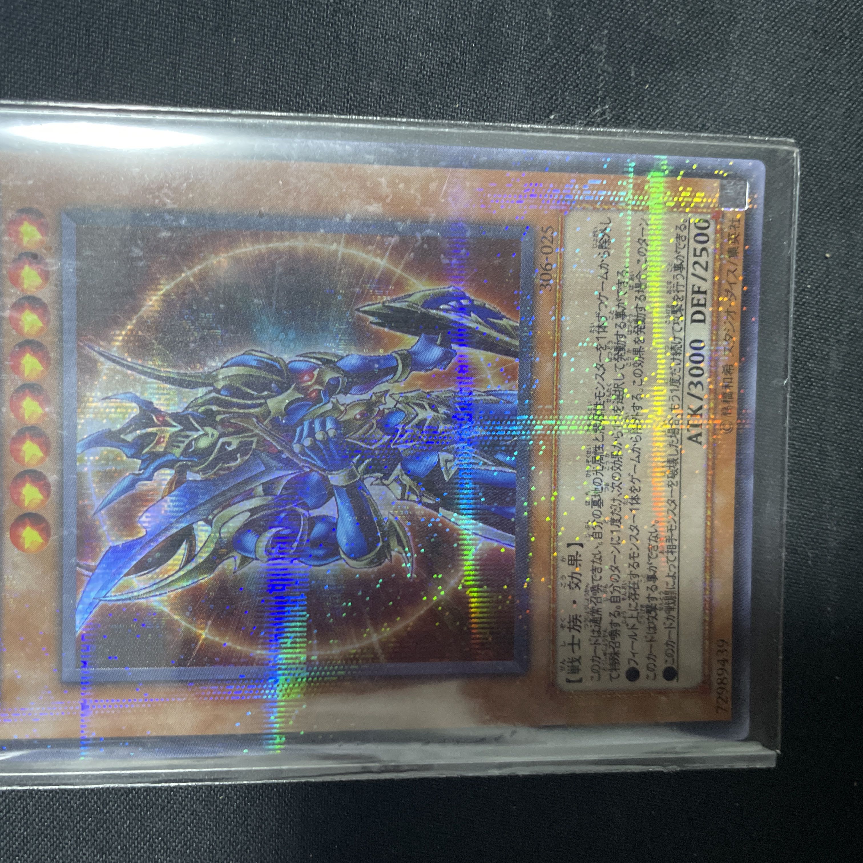 カオスソルジャー　パラレル