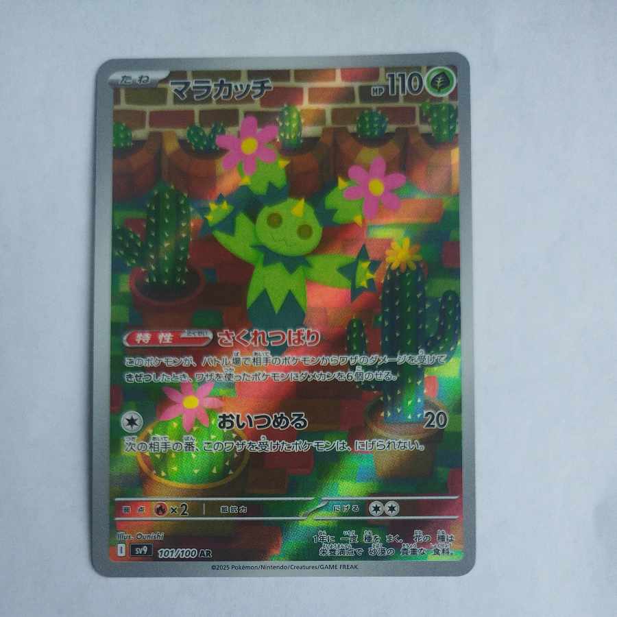 @ @ Maractus AR 101/100 1枚