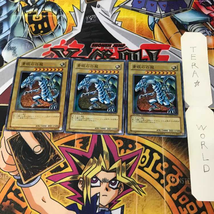 青眼の白龍 DT01 1 デュエルターミナル 通常 3枚セット てら 3枚