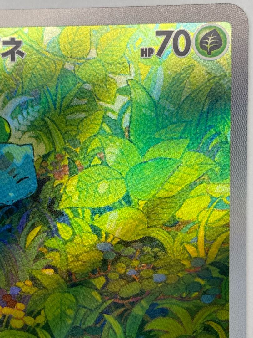 (i) Bulbasaur AR 166/165 1枚