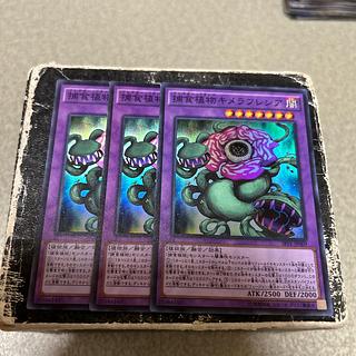 3枚セット 捕食植物キメラフレシア スーパーレア JP009