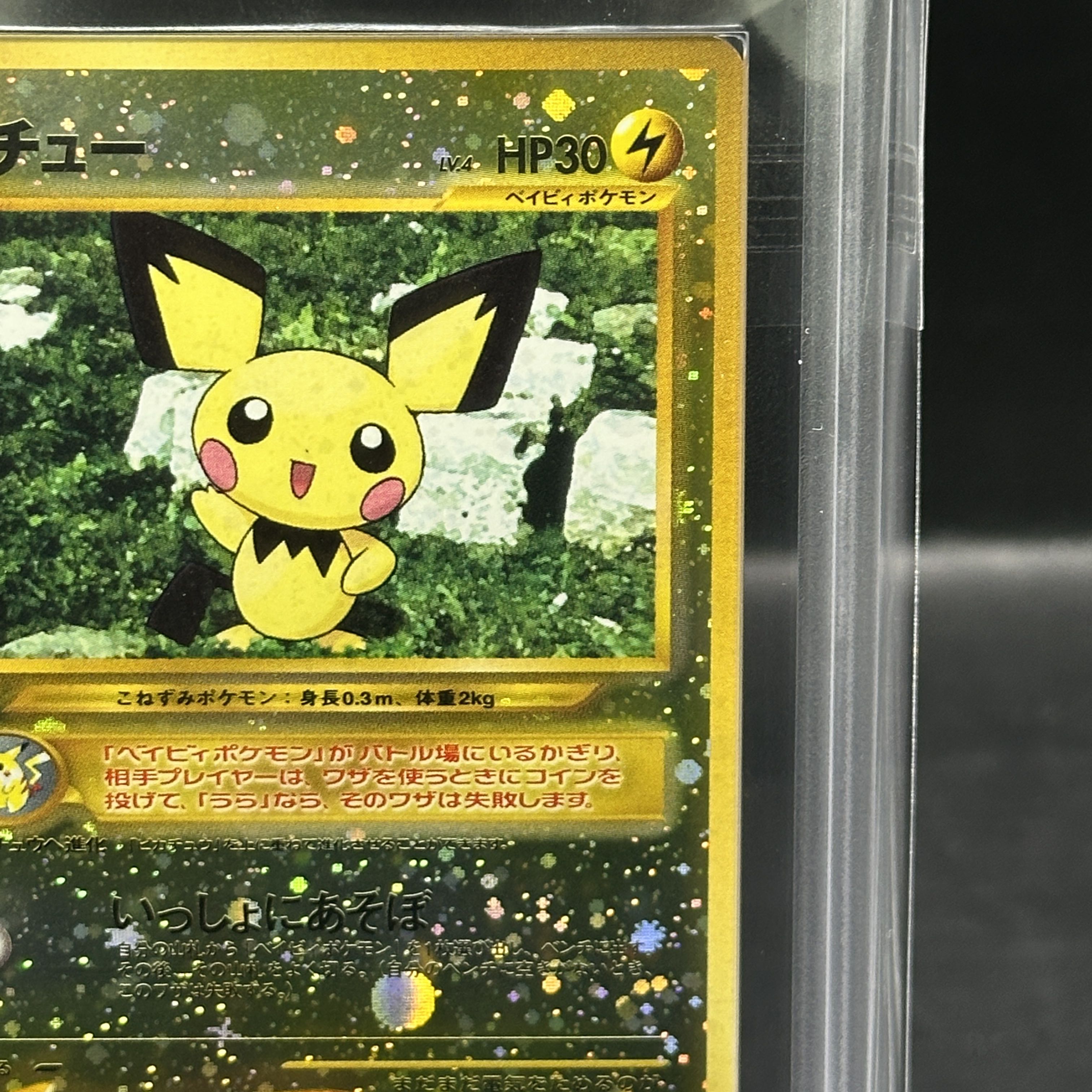 【ARS10】ピチュー プレミアムファイル キラ 旧裏  1枚