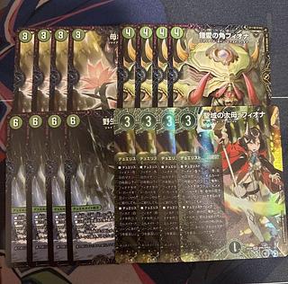 聖域の太母、フィオナ