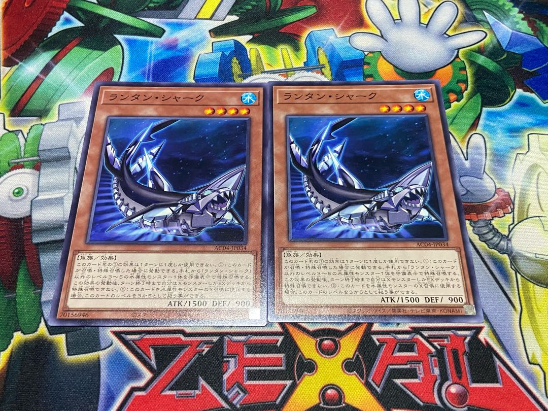 Y-2489 Lantern Shark Normal AC04-JP034