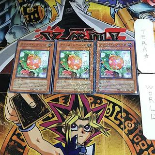 Naturia Ladybug DT07 1 Duel Terminal, Set of 3 Tera