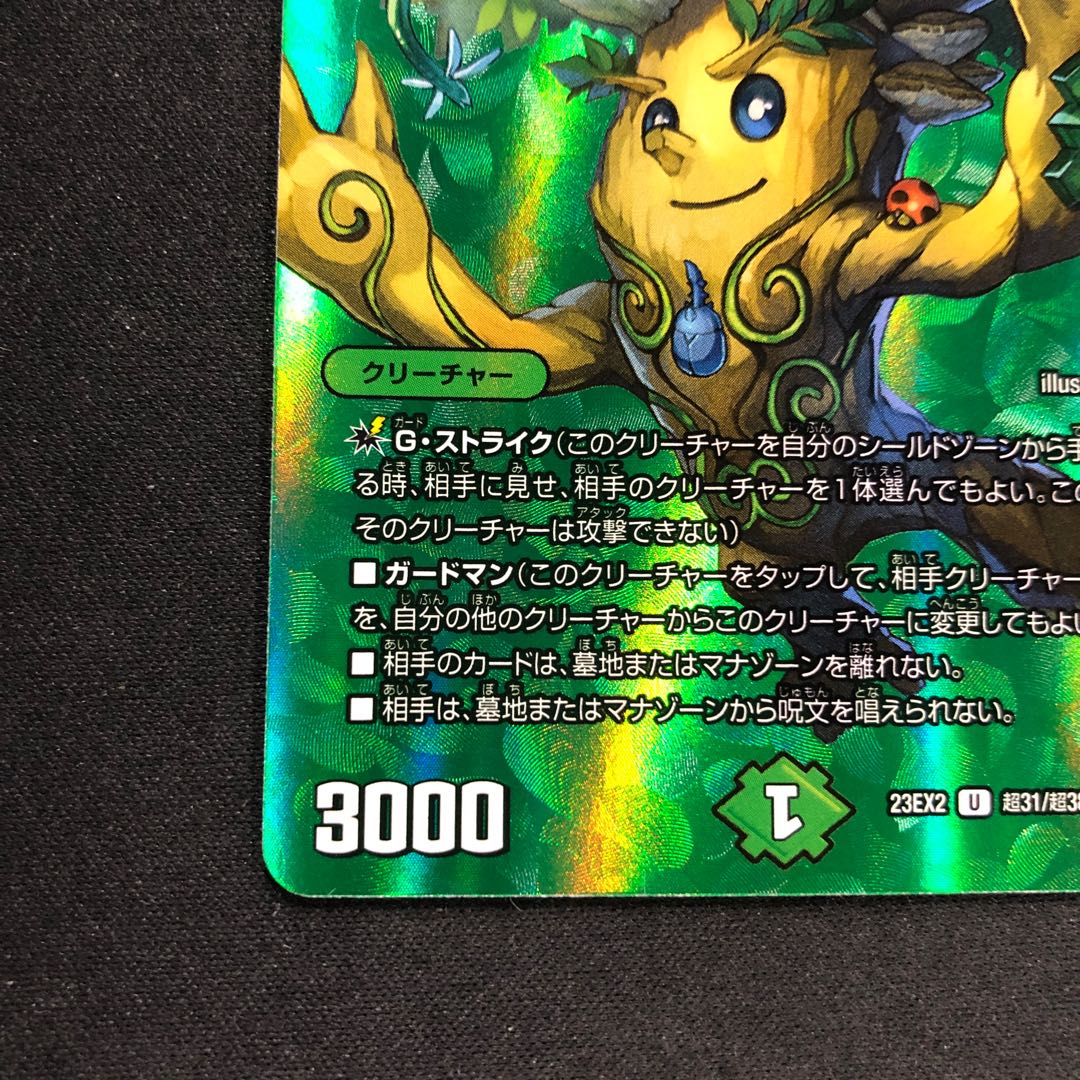 若き大長老 アプル U-foil 超31/超38