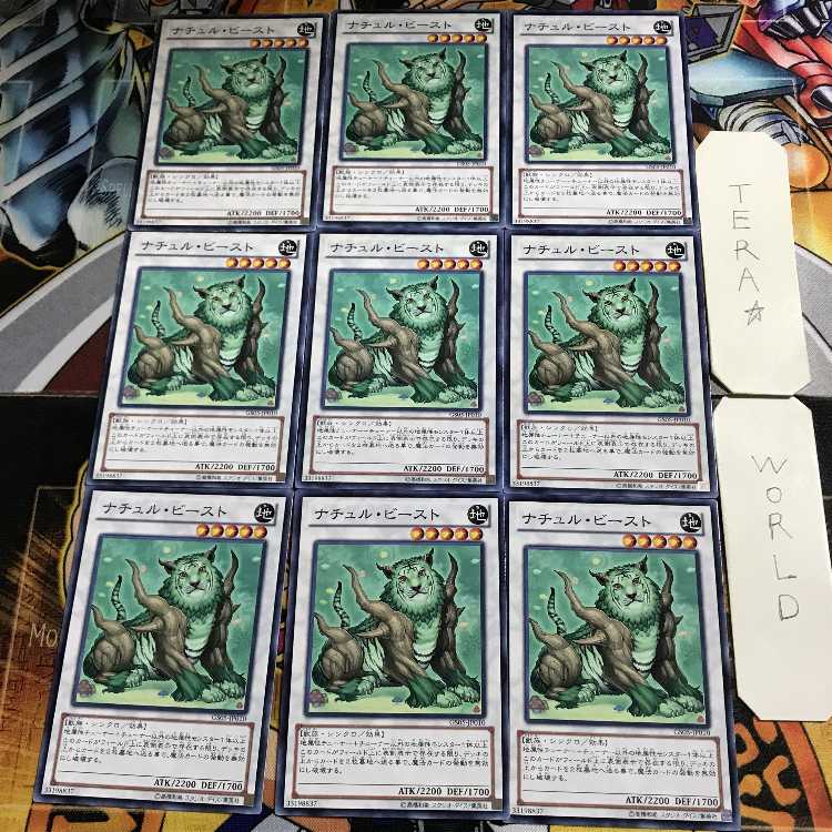 Monk of the Tenyi RIRA 1 Normal 9-card set Tera