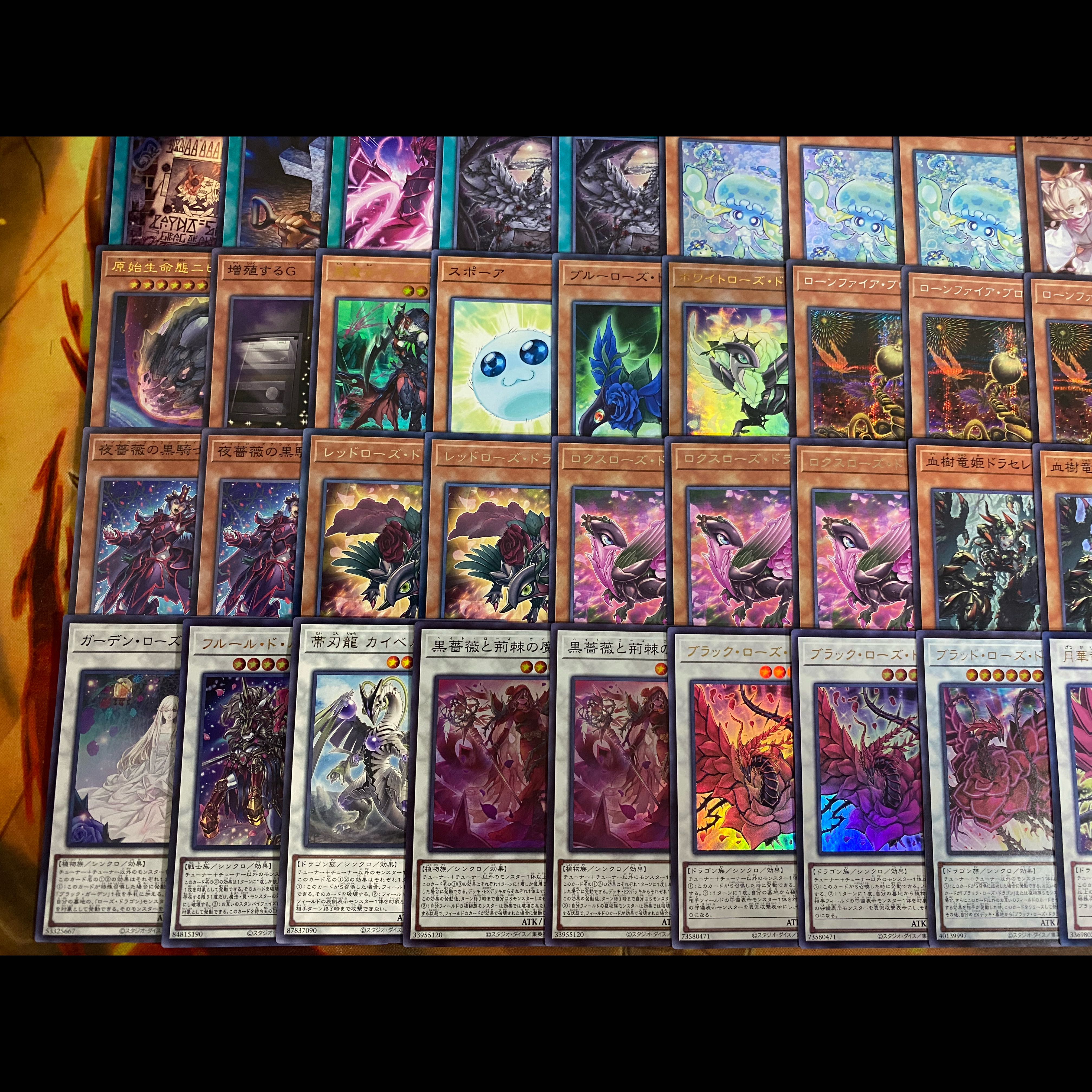 遊戯王　本格構築デッキ　ブラックローズドラゴン　大会構築【24時間以内発送】 1枚