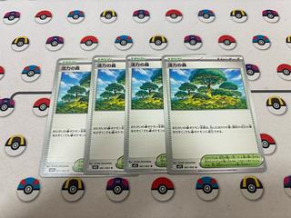 活力の森 U 061/063