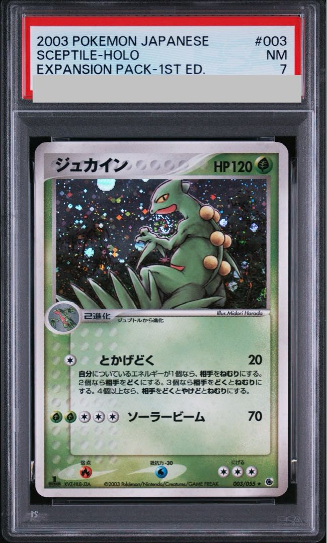 Sceptile <1st> (-) {003/055} [ADV1]. 1枚