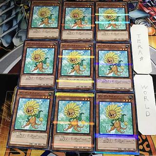 Royal Decree 1 Normal Parallel 9-card set Tera