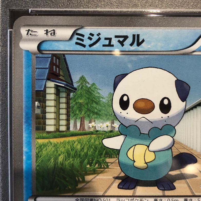 ポケモン - 【PSA10】ミジュマル 「JR北海道ポケモン調査隊2011」ゼクロムルート PROMO 080/BW-P PSA10】ミジュマル 「JR北海道ポケモン調査隊2011」ゼクロム