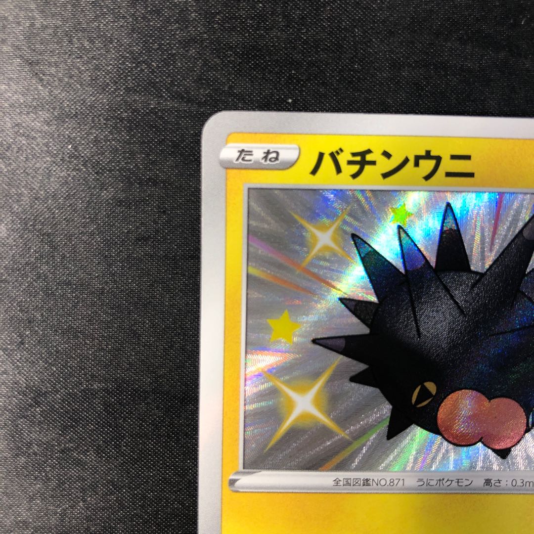 バチンウニ S 242/190 1枚