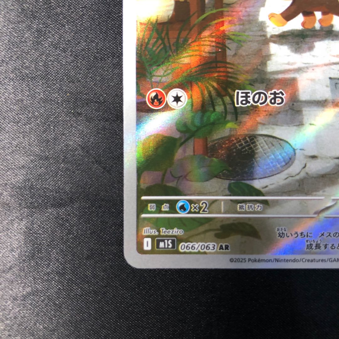 シシコ AR 066/063