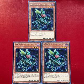 Aop 1 捕食植物オフリス・スコーピオ レア JP009