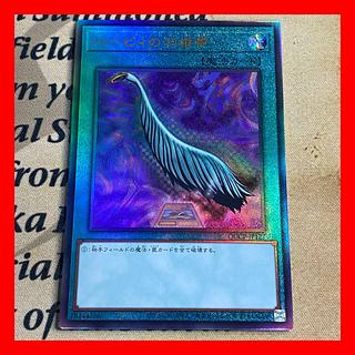 Yu-Gi-Oh Harpie's Feather Duster Relief QCCP②