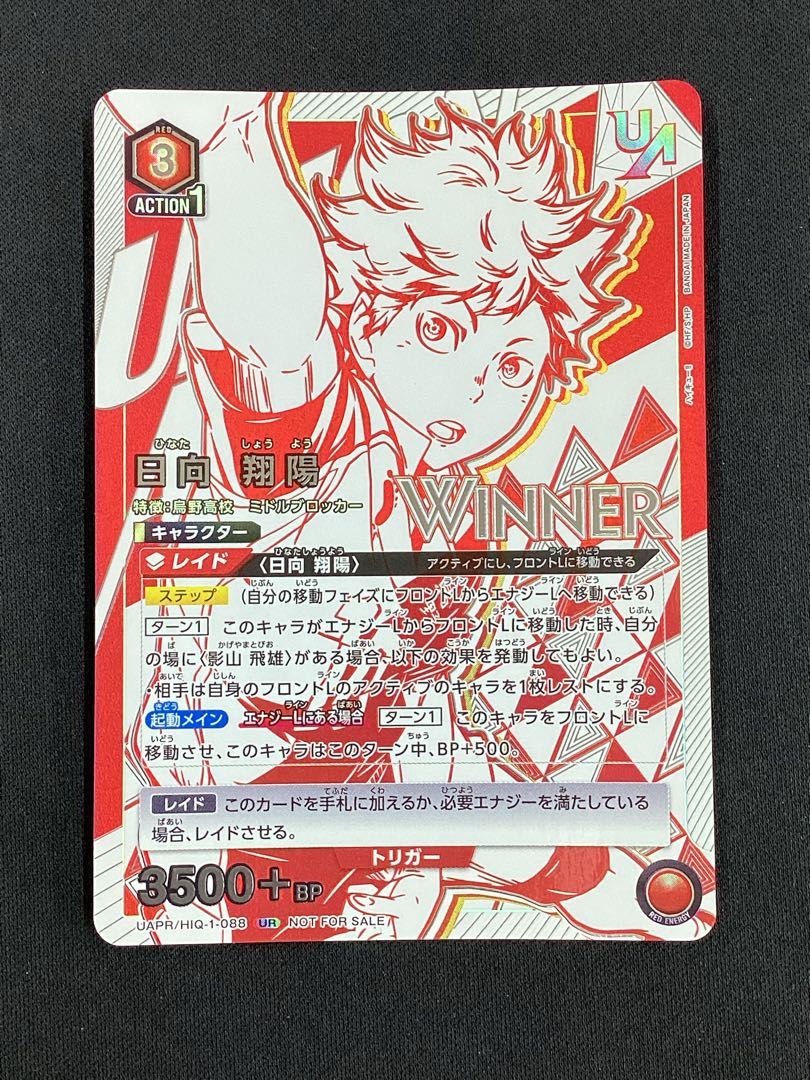 Shoyo Hyuga UR WINNERver