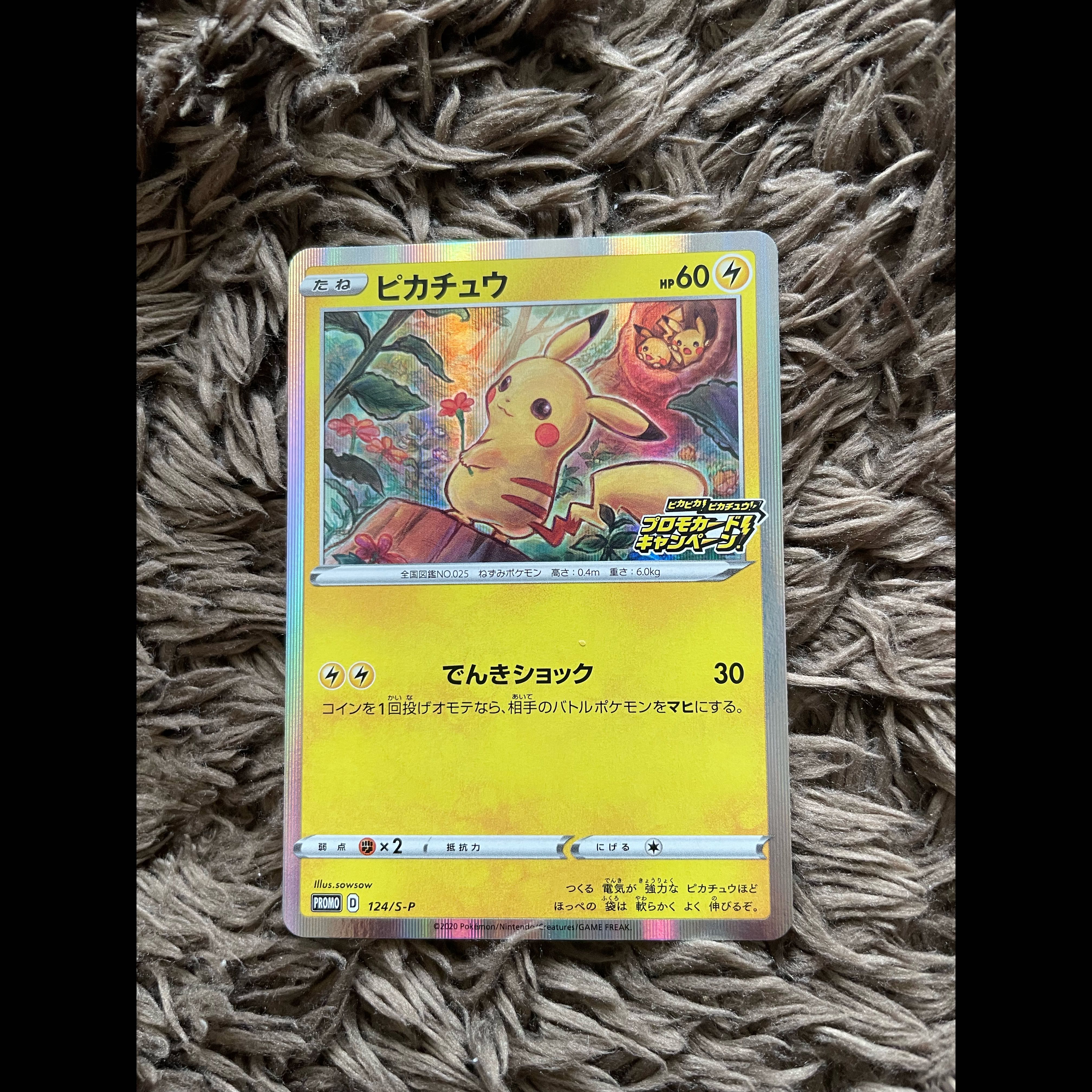 Pikachu Promo Card Campaign 1枚